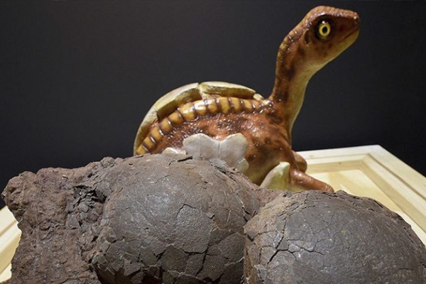 Hallan el fósil de un dinosaurio sentado sobre un nido de huevos