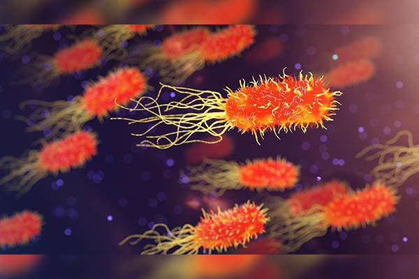 Hallan bacterias de origen desconocido en la Estación Espacial Internacional