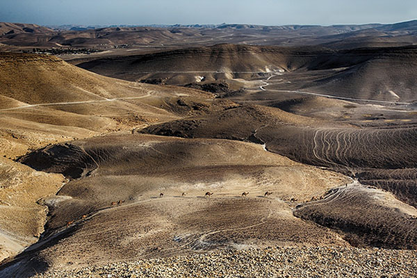 Encuentran fragmentos de los Manuscritos del Mar Muerto en Israel