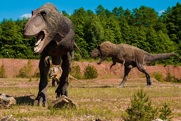 Científicos revelan cómo se restableció la vida en la Tierra tras extinción masiva