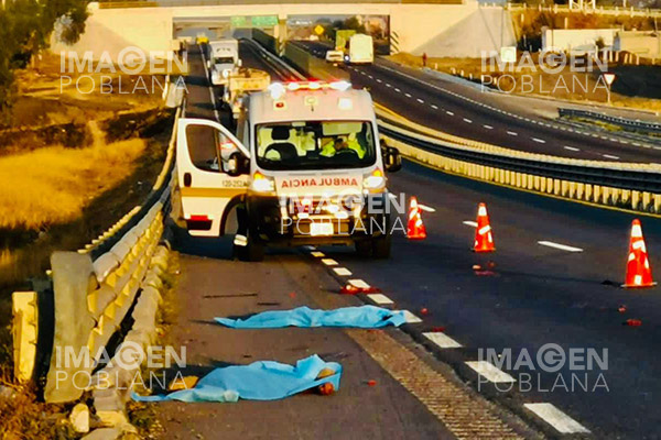 Intentó cruzar la autopista, pero no llegó al otro lado