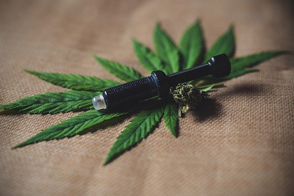 Puede el cannabinoide CBD ser auxiliar como tratamiento para el COVID-19