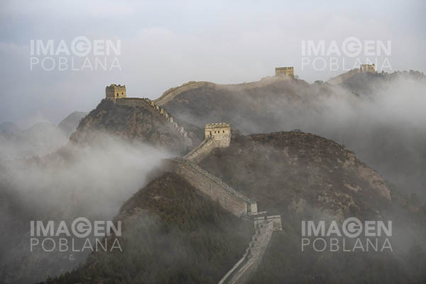 Científico cree haber descubierto fuente del COVID-19 en China