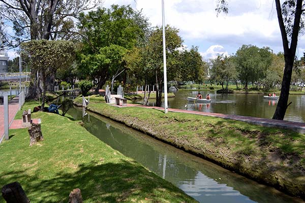 Reforestación y captación de lluvia podrían restablecer mantos acuíferos: investigador BUAP