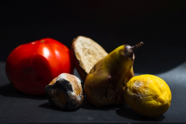 Calentamiento global afecta la calidad de los alimentos