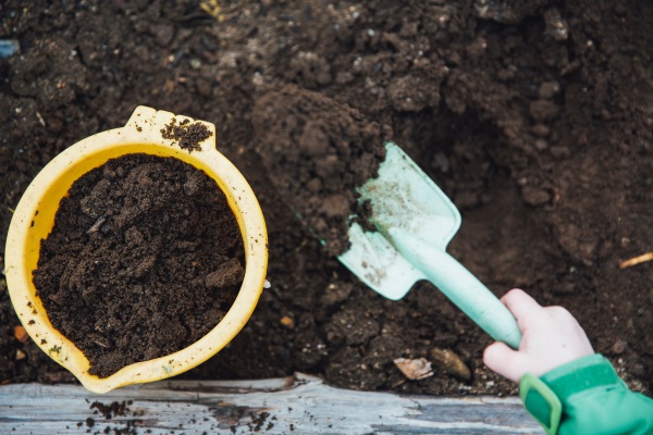 “Basura” que es alimento para tus plantas