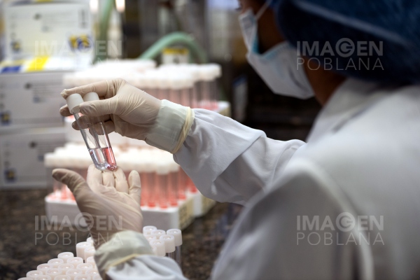 UNAM hace evaluación preclínica de dos vacunas contra el COVID-19