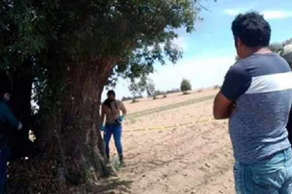 Se colgó tras asesinar a golpes a su esposa