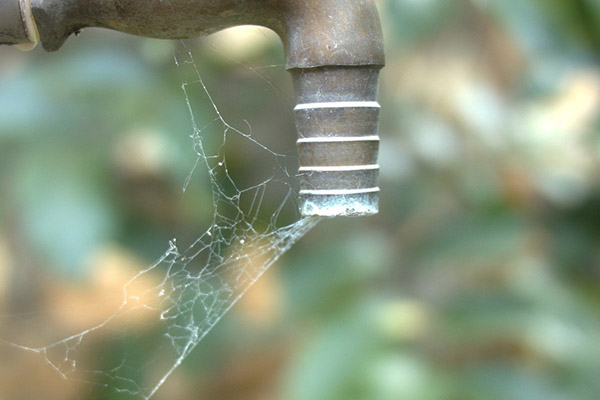 Crisis de agua en Jordania muestra los retos contra el cambio climático en el mundo