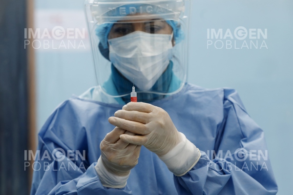 Rusia registra la primera vacuna contra el coronavirus para animales