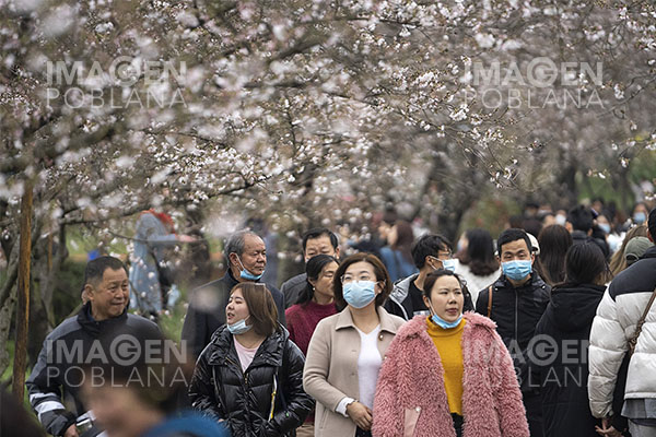70% de habitantes de Wuhan recuperados de covid conserva anticuerpos