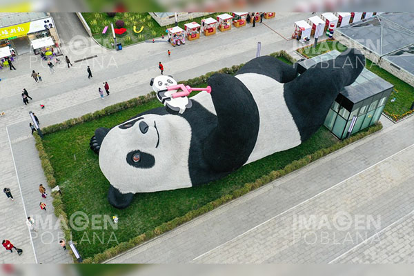 Estatua de panda que se toma selfies apasiona al público