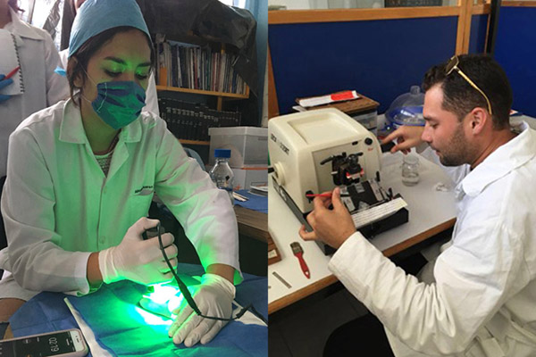 Con método óptico no invasivo, investigadores BUAP acortan tiempo de cicatrización