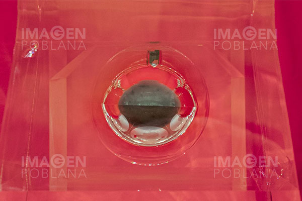 China publica en línea datos de muestras lunares