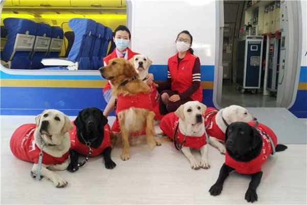 Perros guía prestarán servicio en Juegos Olímpicos de Invierno