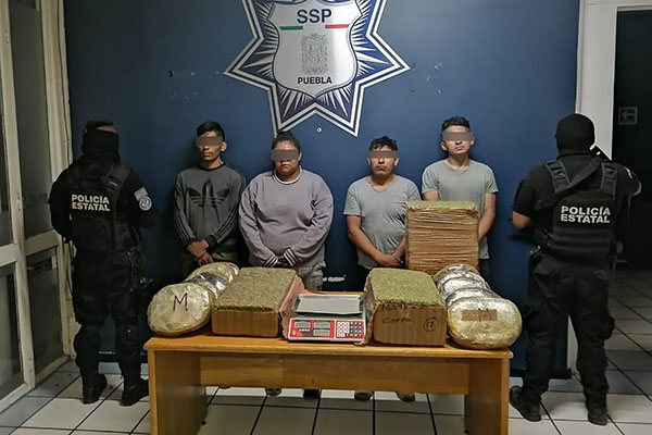 Atrapados con 50 kilogramos de marihuana