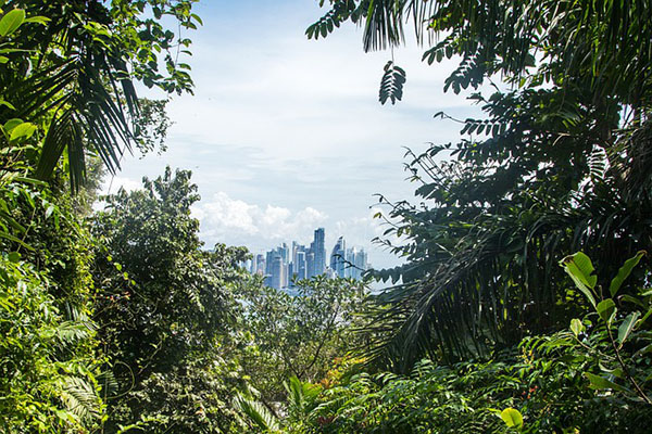 La selva amazónica se convierte en un importante emisor de dióxido de carbono