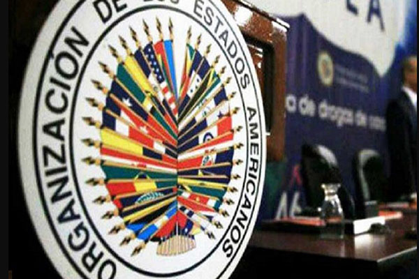 La OEA podrá observar las elecciones en México, dice López Obrador