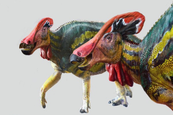 Paleontólogos identifican nueva especia de dinosaurio herbívoro en México