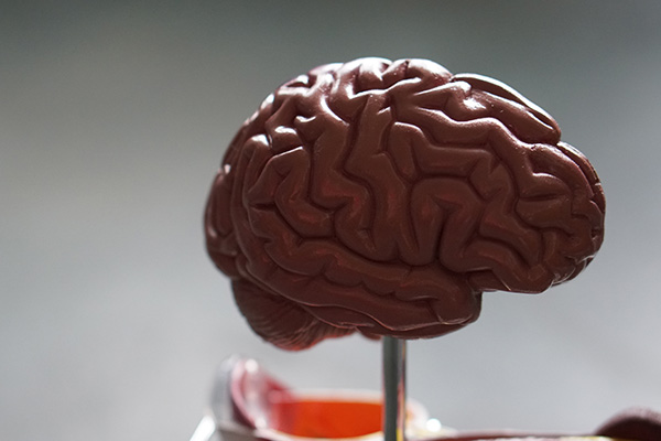 Implante cerebral permite a las personas con parálisis escribir usando su mente