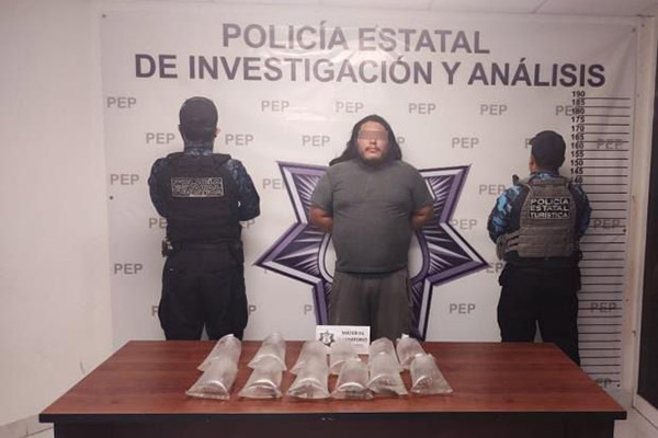 Detenido por vender ajolotes