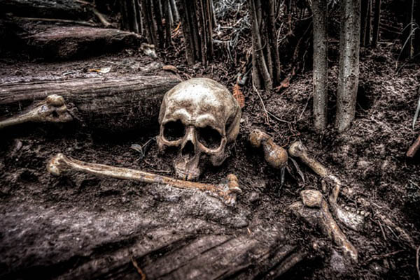 Hallan dos cráneos humanos en una barranca
