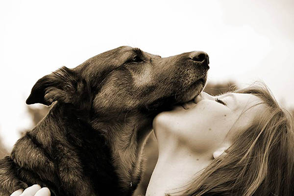 Descubren nuevo coronavirus canino capaz de transmitirse a humanos