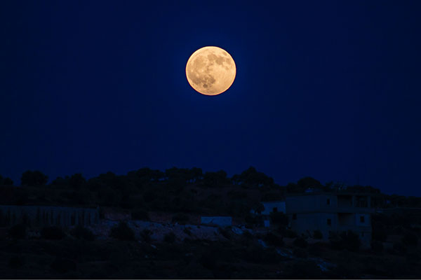 Más cercana que nunca: publican una foto de la superluna
