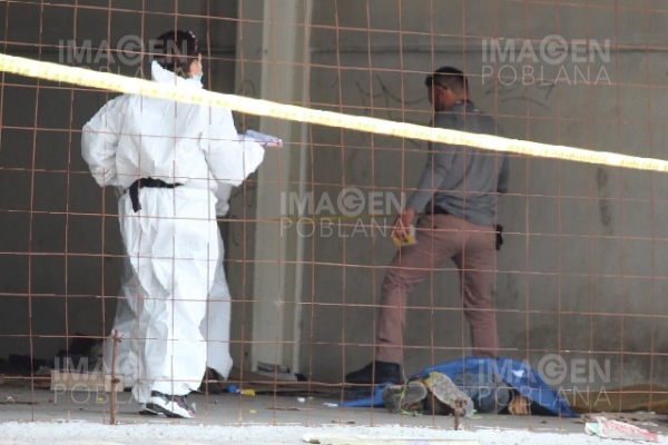 Indigente muere golpeado en aparente homicidio