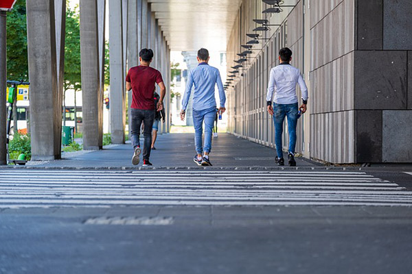 Cuál es el papel de las universidades en la atracción de emprendedores inmigrantes