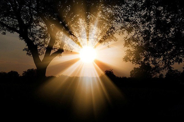 Rayos del sol destruyen el coronavirus en un minuto, según estudio