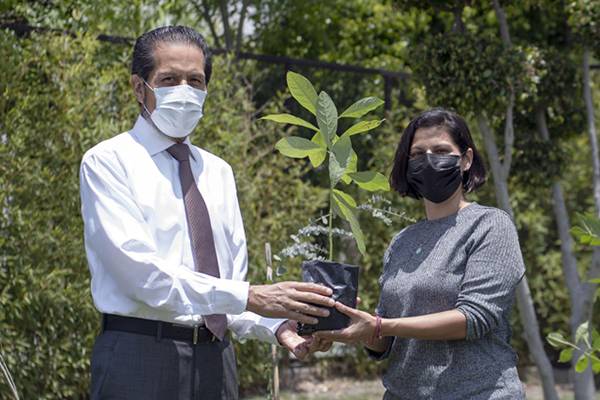 Entrega Alfonso Esparza más de 800 especies con “Adopta un árbol”