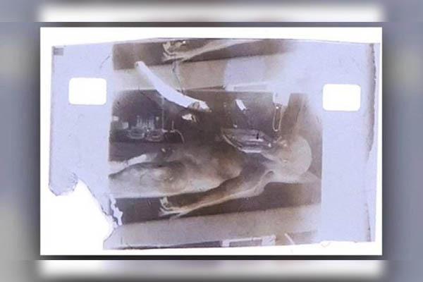Subastan en 800,000 euros un fotograma de una supuesta autopsia alienígena