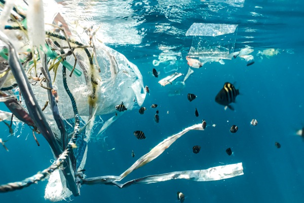 Contaminación plástica, un problema que afecta a la fauna marina
