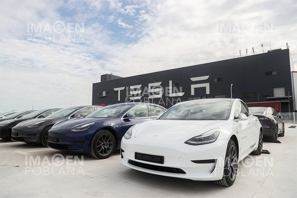 Tesla llama a revisión a 5,600 coches eléctricos por fallos en cinturones
