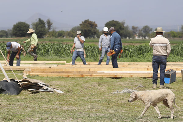 Analizan rescate de perritos de socavón; descartan uso de helicóptero