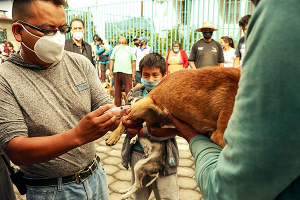 Atlixco exhorta a participar en la Jornada de Vacunación Antirrábica Canina y Felina