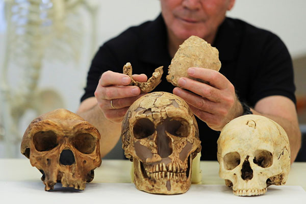 Nuevo tipo de humano prehistórico descubierto en Israel