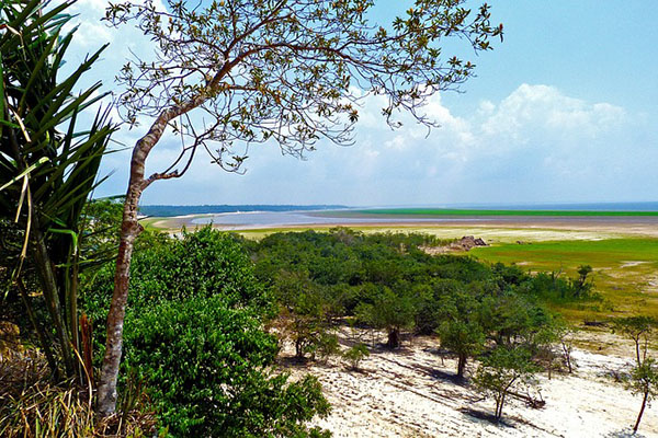 Cambio climático podría ser detonante de sequías extremas en el Amazonas