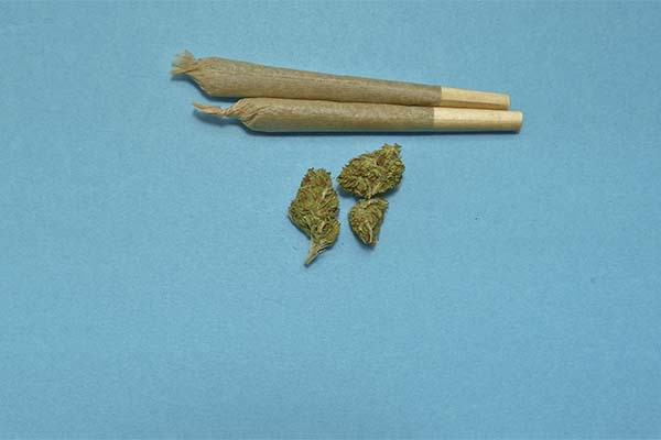 SCJN despenaliza el uso lúdico y recreativo de la marihuana