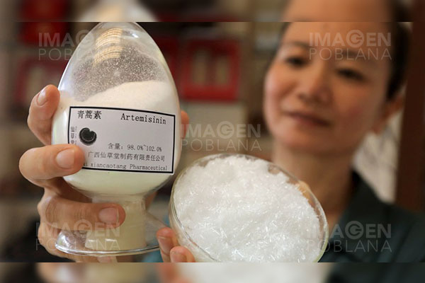 OMS declara a China libre de malaria después de 70 años de lucha