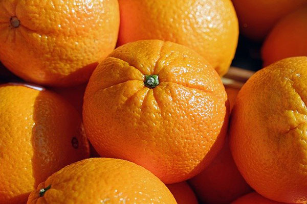 Incautado en Arabia Saudí un gran lote de anfetaminas escondido en cajas de naranjas