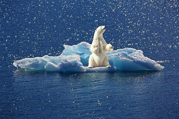Se calienta la Antártida; registra temperatura récord de 18.3 grados