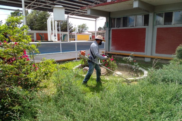 Se intensifican los trabajos de limpia y poda de espacios públicos en Amozoc