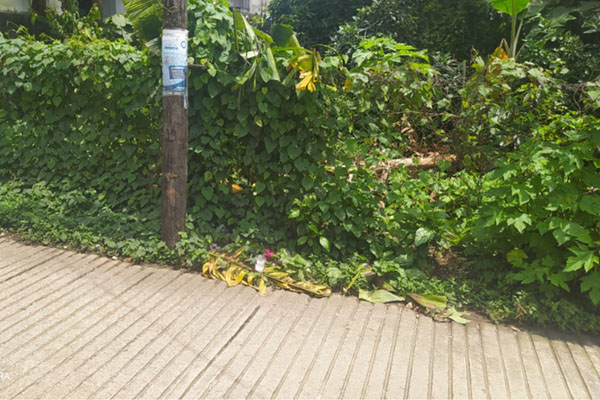 Hallan feto de más de 8 meses de gestación cubierto con hojas de plátano