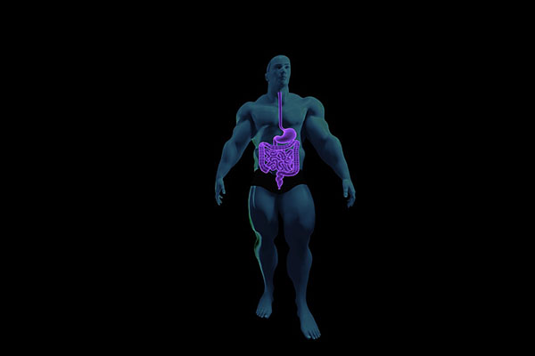 Tracto digestivo, nuestro segundo cerebro