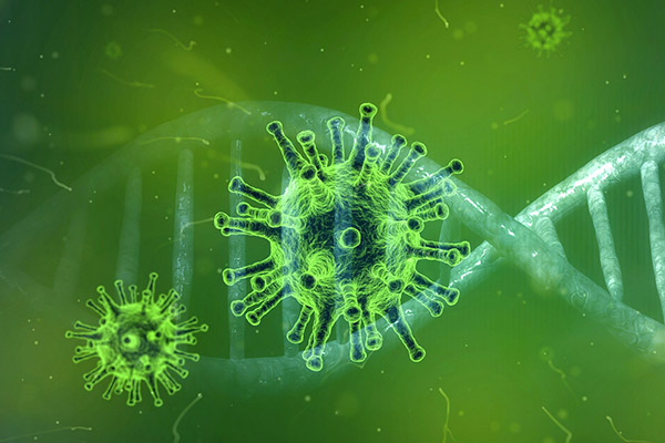 El contagio con varias cepas del coronavirus podría estimular su variación