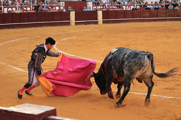 Torero presume su corrida y Twitter lo censura por promover "placer sádico"
