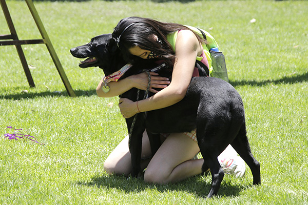 Perritos, cada vez más importantes en familias poblanas