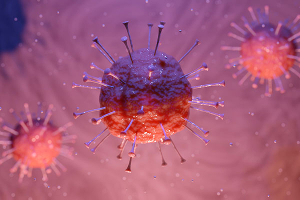 ¿Qué significa la mutación de un virus y cómo nos defendemos de ellos?